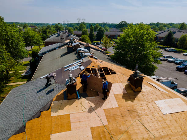 Quick and Trustworthy Emergency Roof Repair Services in Wilmington, OH