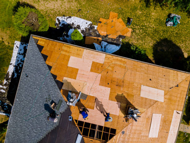 Best Roof Gutter Cleaning  in Wilmington, OH